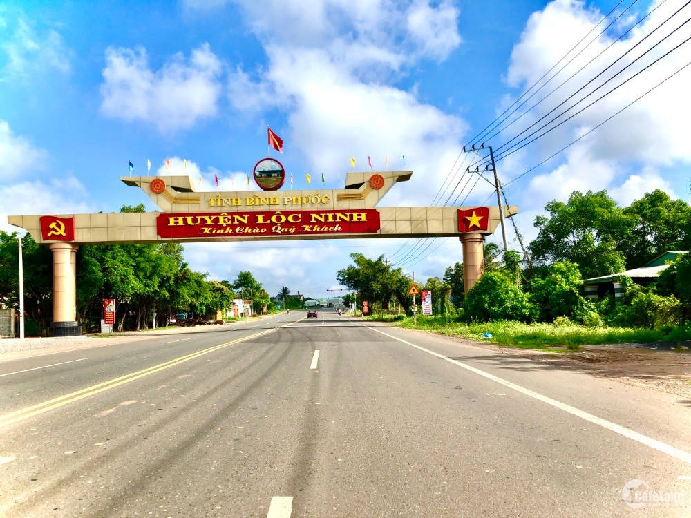 Đất Bình Phước 300m /thổ cư- sổ hồng riêng Giá đầu tư siêu rẻ