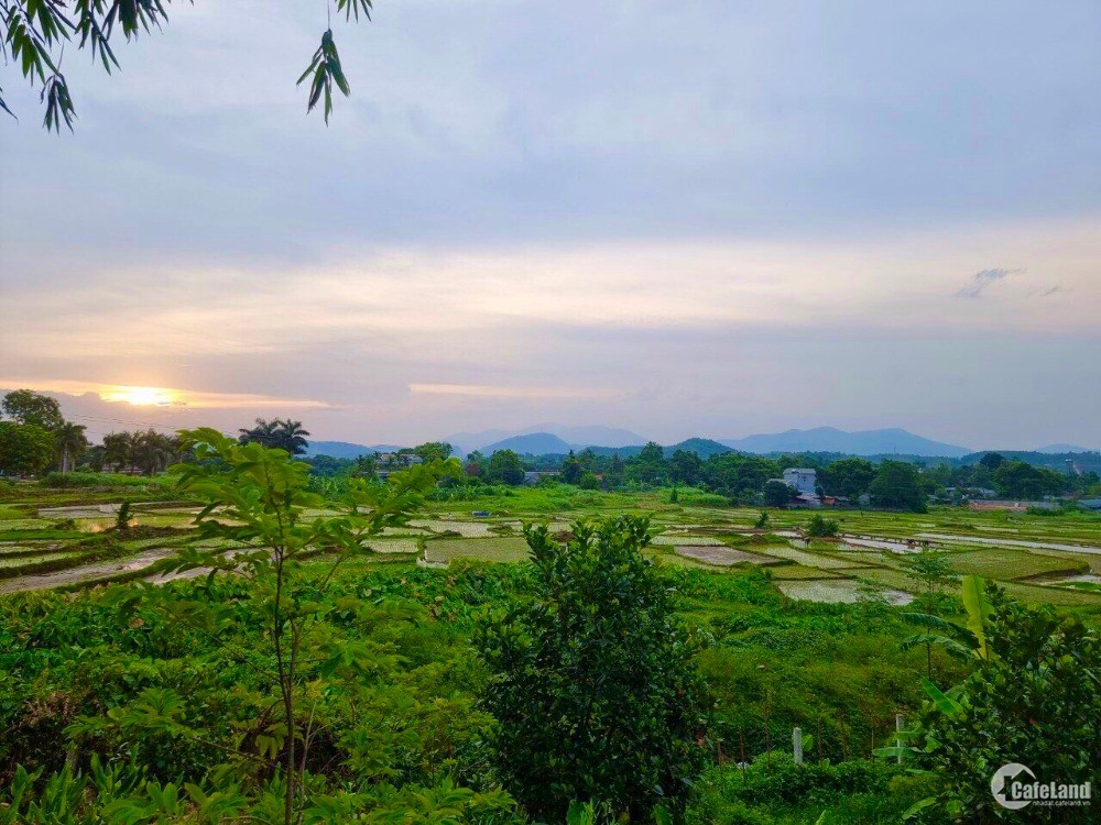 Bán đất Lương Sơn giá siêu rẻ view cánh đồng S=1290m