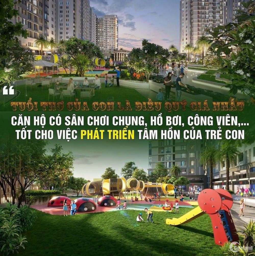 Căn hộ Picity High Park có gì đặc biệt? Cơ hội nhận voucher 150 triệu & 10 chỉ