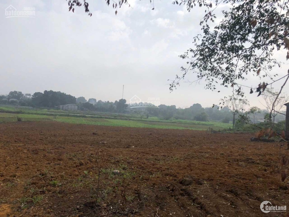 Chính chủ nhờ bán 6.700m2 đất khai hoang tại xã Yên Bài, huyện Ba Vì, giá 1,5 tr