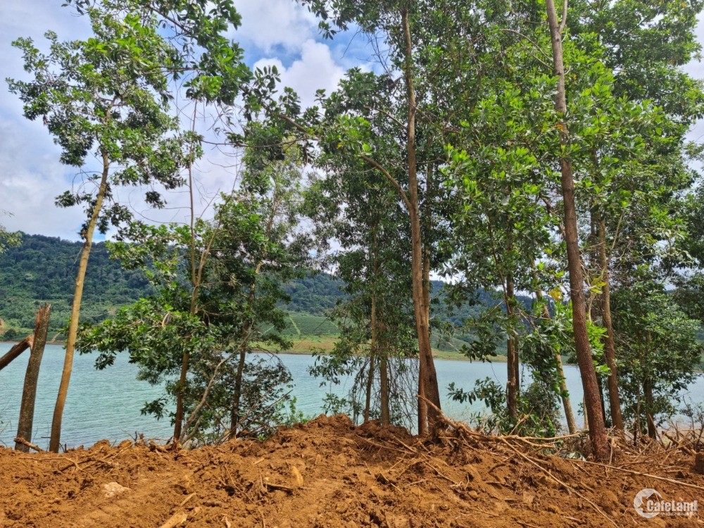 Đất thổ cư view hồ Lộc Tân (Hồ Đảo Ngọc) - Lâm Đồng 5.5tr/m2
