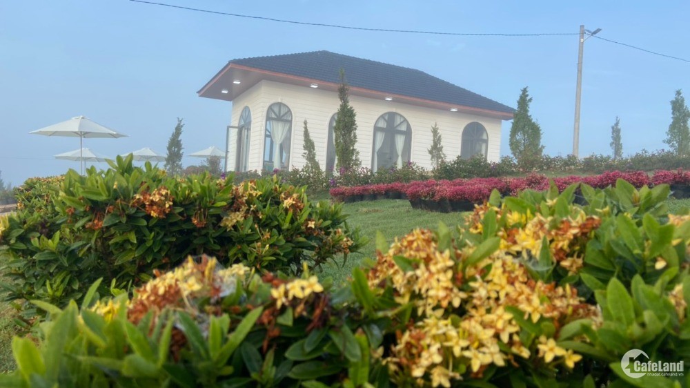 Đất nền Village Biệt Thự vườn Lộc An Bảo Lâm giá chỉ từ 760 triệu/nền