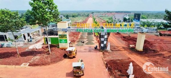 ĐẠI ĐÔ THỊ SINH THÁI TOÀN DIỆN FELICIA CITY - “VIÊN KIM CƯƠNG” QUÝ GIÁ