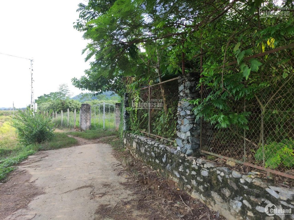 Đất nghỉ dưỡng siêu đẹp có 102 tại Tiến Xuân, Thạch Thất, Hà Nội