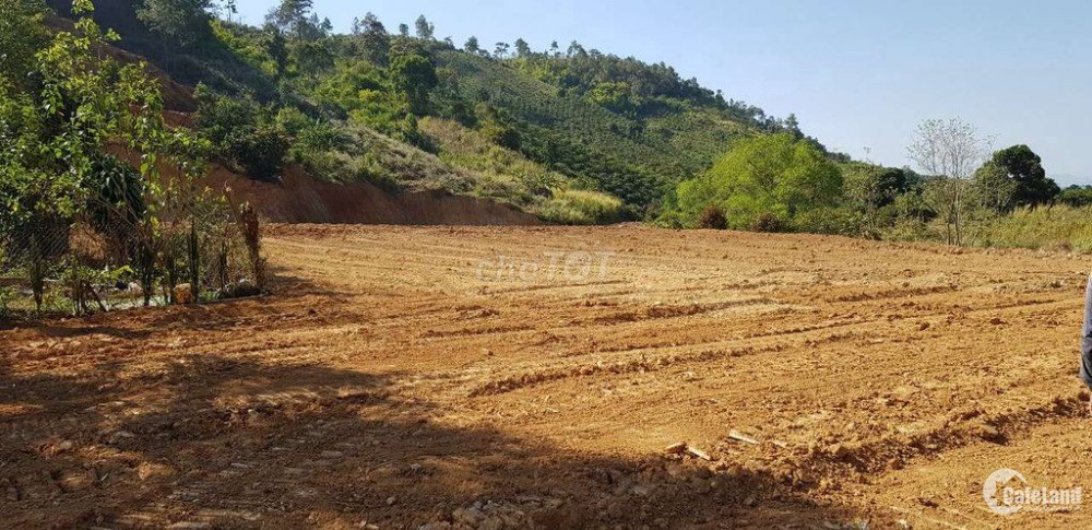 Cần bán 16.000m2 đất tại xã Phú Hội, huyện Đức Trọng, Lâm Đồng