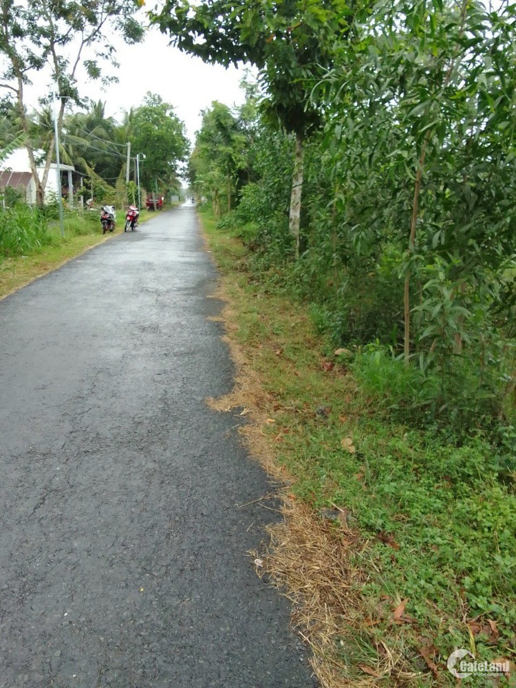 Chú cần bán 6743m đất cln giáp lộ 5t gần ngã ba xã Bình Phước