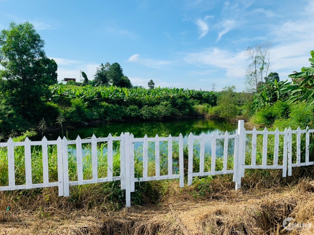 Đầu tư đất vườn theo mô hình Homestay tại Đồng Nai