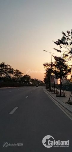 Bán biệt thự 255m2 KDT 31ha Trâu Quỳ, Gia Lâm, Hà Nội