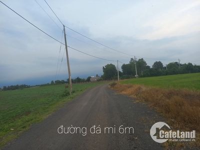 Cần bán nhanh lô đất 1000m2 xã Long Tân - Huyện Đất Đỏ, BR-VT