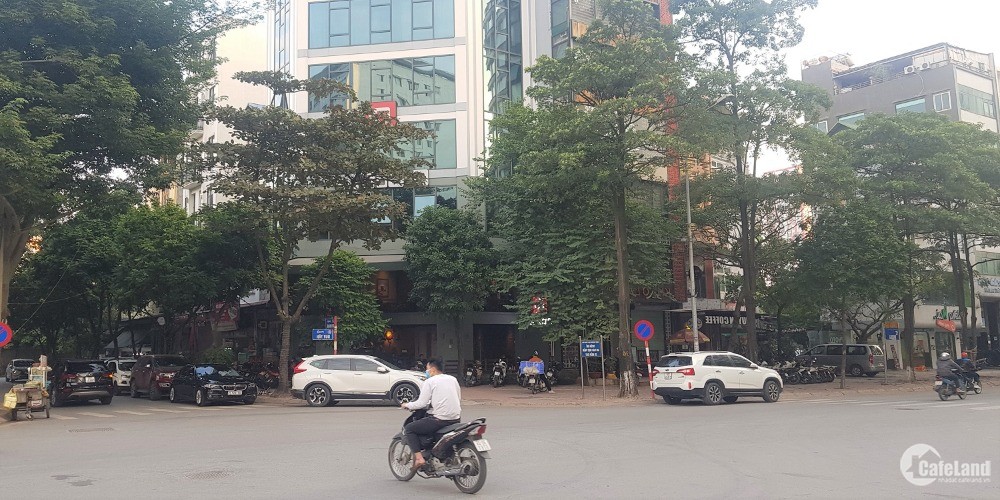 Tòa nhà phố Nguyễn Khánh Toàn. Lô góc, vỉa hè, đường 6 làn. 230m2 MT9m 9T 100tỷ