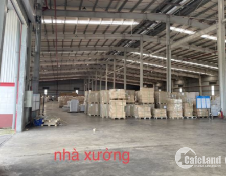 Bán nhà xưởng 12.300m2 trong khu công nghiệp Thuận Đạo, Bến Lức, Long An