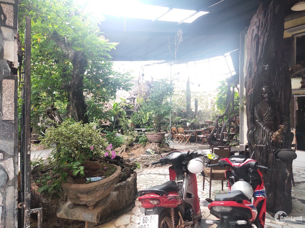 Cần bán gấp nhà sân vườn tuyệt đẹp, đang kinh doanh quán cafe tại Xuân Tâm