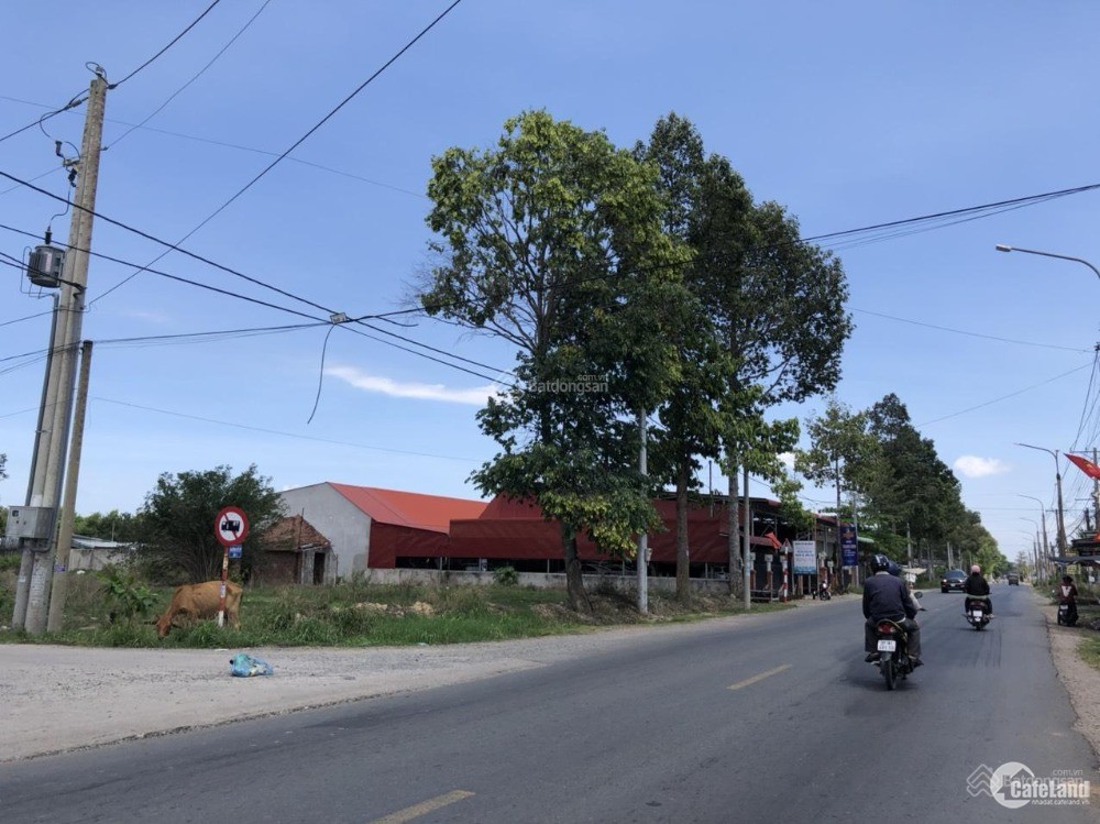 Bán nhanh lô góc 2 mặt tiền đường Hắc Dịch - Tóc Tiên, thị xã Phú Mỹ, BRVT