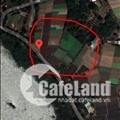 Bán đất nông nghiệp 541.6m² tại Xã Châu Pha, Huyện Tân Thành, Bà Rịa - Vũng Tàu