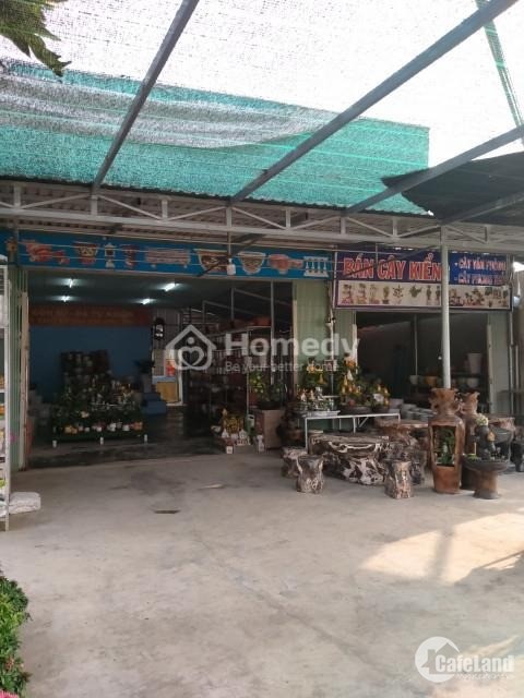 Bán đất ở đã có thổ cư 253.1m² tại đường số 8, Thị trấn Long Điền, Bà Rịa - Vũng