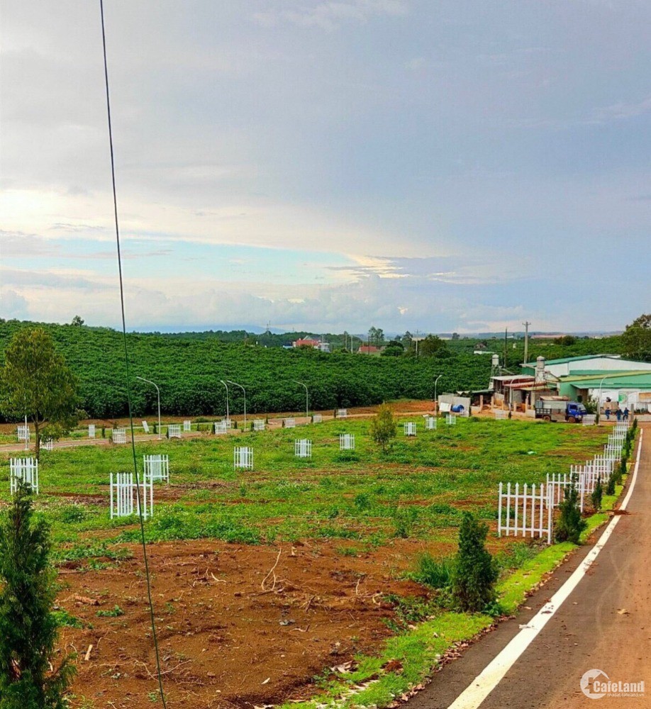 Đất nền 100% thổ cư, sổ sẳn, khu dân cư Mimosa Garden xã Lộc Quảng, Bảo Lâm