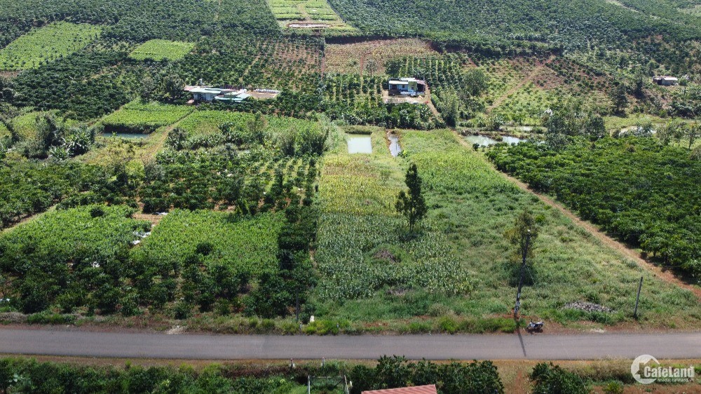 Đất vườn + Thổ cư mặt tiền Tôn Thất Thuyết, Đambri, Bảo Lộc, gần Kiwuki Village