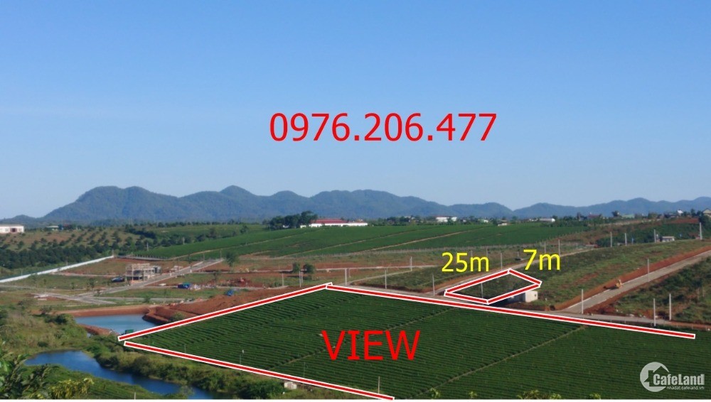 đất Bảo Lộc, view đồi chè, view hồ giáp suối sổ sẵn giá 780tr