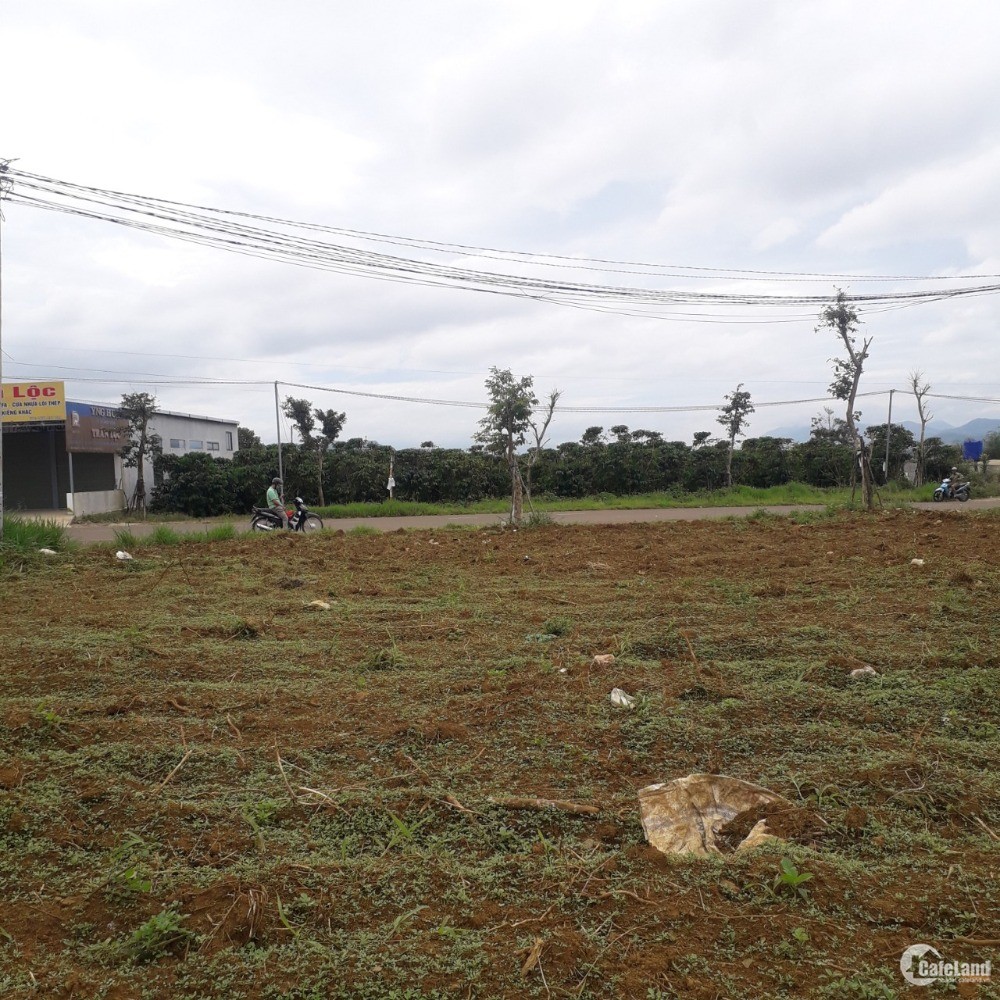Bán gấp lô đất 2 mặt tiền đường Phan Đình Phùng, Bảo Lộc