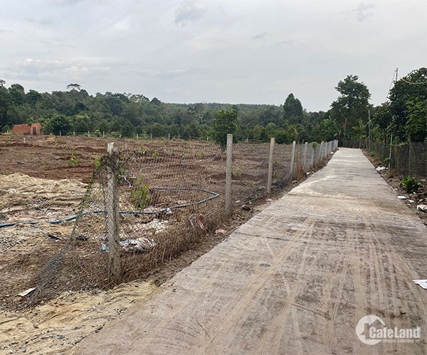 Bán đất Cẩm Mỹ view Đà Lạt có 90m suối lớn cách trung tâm xã Bảo Bình chỉ 1.5km