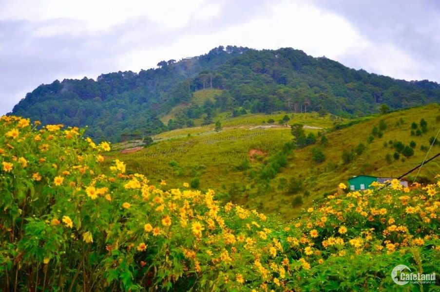 đèo Tà Nung xuống Hà Nam còn 3 lô đất mỗi lô 1000m2 (có sẵn 100m thổ cư)  Giá 1.