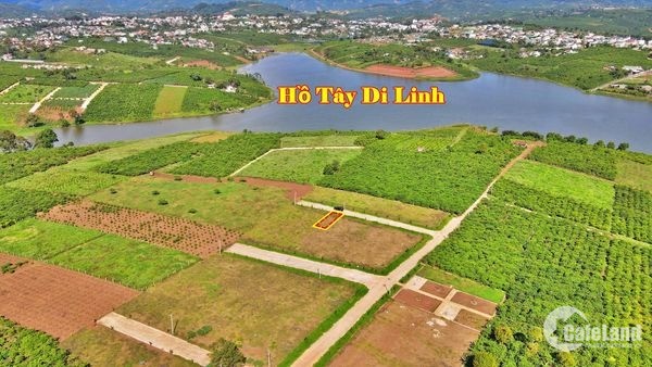 đất  Hồ tây Di Linh - có công viên - cách mặt hồ 150m  Diện tích 6mx20m có 100