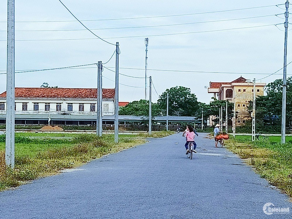 Bán đất dong 2 đường huyện 260 ở Diễn Mỹ - Diễn Châu - Nghệ An
