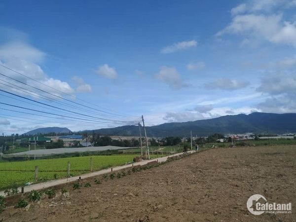 Đất nền sẵn thổ cư tại TT Thạnh Mỹ - huyện Đơn Dương - Lâm Đồng.