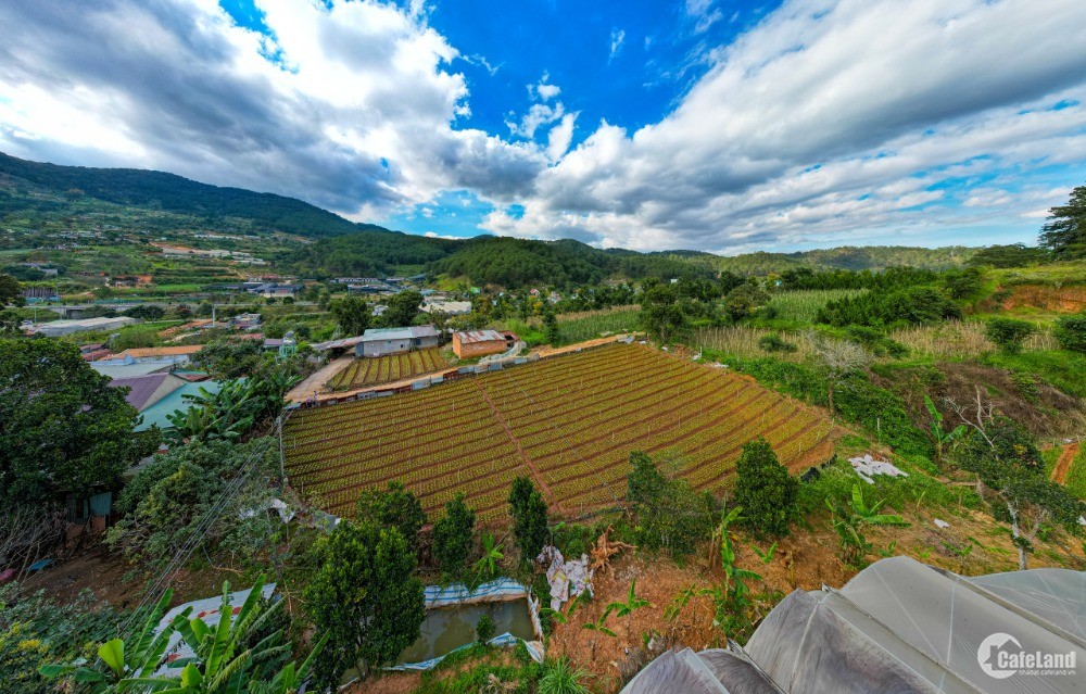 Lô đất cực đẹp view núi Voi cách trung tâm tp Đà Lạt 11km giá đẹp để đầu tư