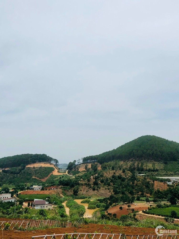 Bán đất nền huyện Lâm Hà, diện tích lớn, sổ sẵn, chính chủ