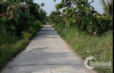 Bán đất DT 15x45m đường bê tông 4m, đất trồng dừa.