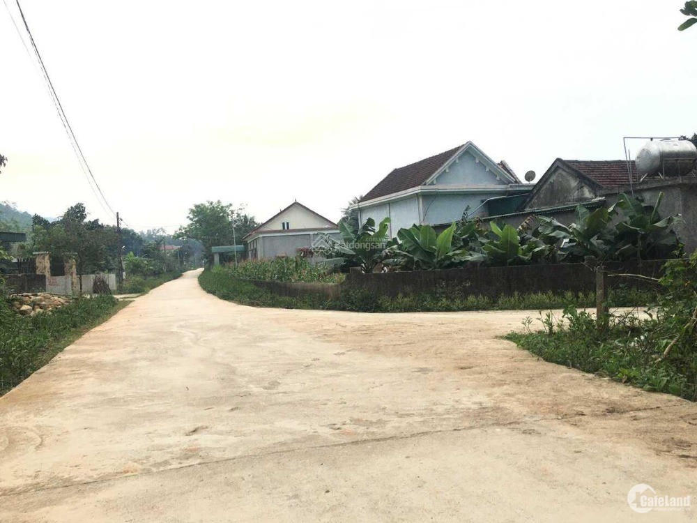 Chính chủ cần bán đất xóm 21, Nghi Văn, Nghi Lộc, Nghệ An giá chỉ 3xxtr