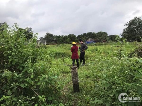 BÁN LÔ ĐẤT TÂN MỸ_NINH XUÂN ️ Giá chỉ có: 7xtr/m ngang.