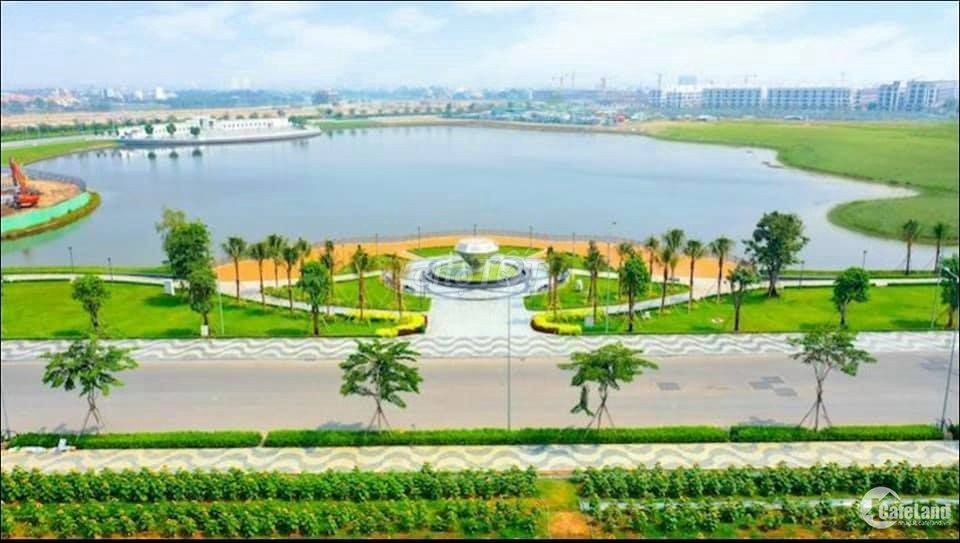 Đất nền dự án huyện mới Quảng Trạch