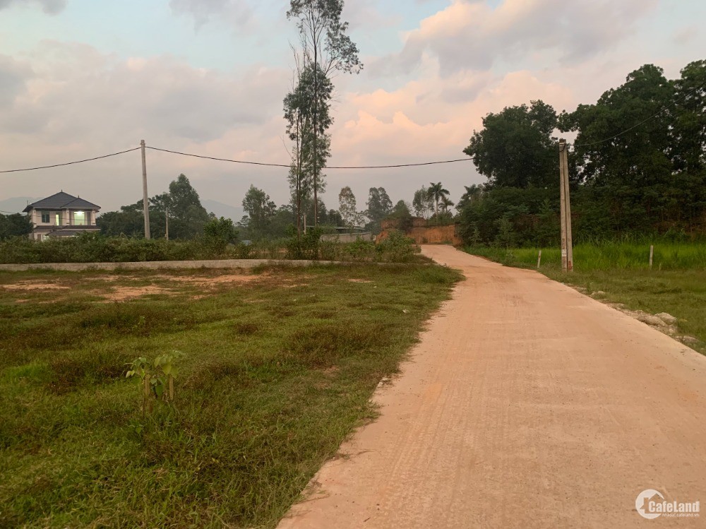 Siêu Phẩm Đất Nền dành cho nhà đầu tư Tại KCN Tam Dương – Vĩnh Phúc