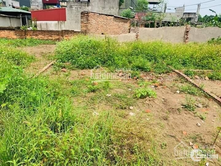 Bán mảnh đất tại khu đấu giá Tứ Hiệp, huyện Thanh Trì, Hà Nội: 84m2, mặt tiền 6m