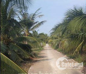 Đất vườn đường oto  kcn Phú Thuận