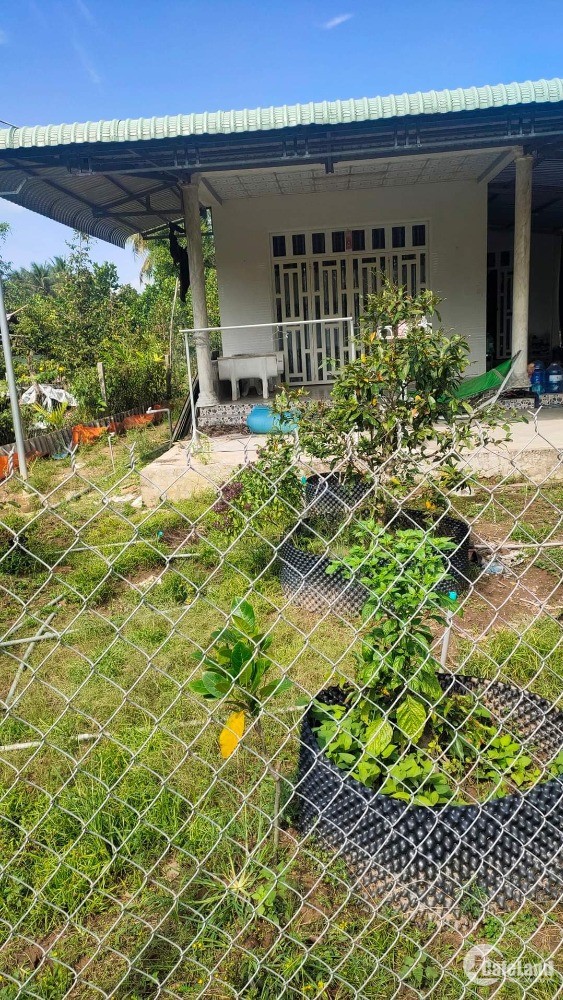 Cần bán nhà cấp 4 + vườn mít tại Hòa Khánh Cái Bè giá tốt
