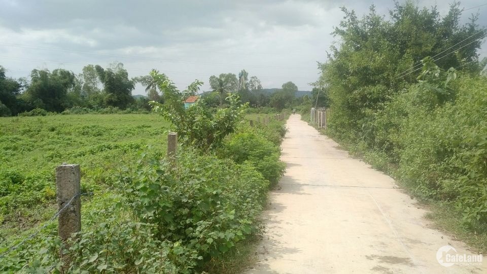 Cần bán lô đất 2 Mặt tiền Ninh Sơn ,Ninh Hòa. Cách DT7 50m