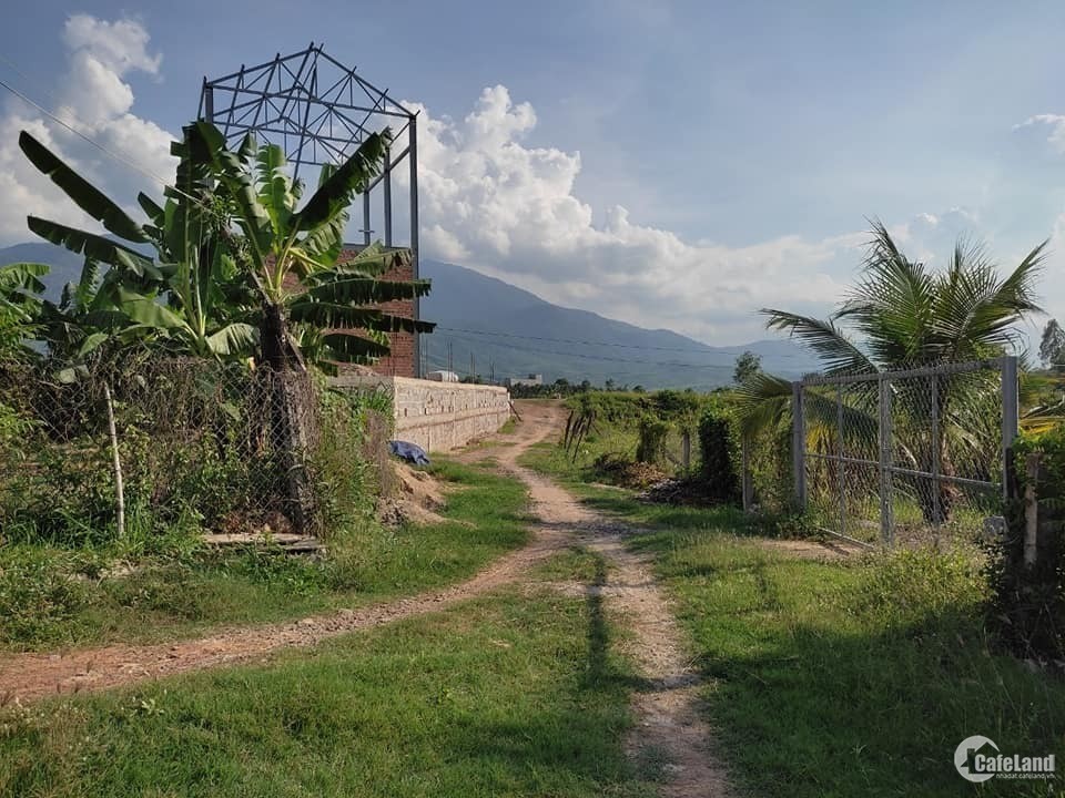 Cần bán lô đất Gò Sắn, Ninh Hưng, Ninh Hoà