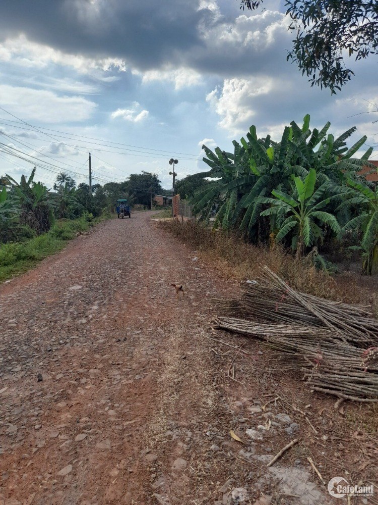 Bán đất xã Lộc Hưng,Tây Ninh MT 6m,gần KCN Phước Đông.DT 599,2m2(19x28) 2.2tỷ TL