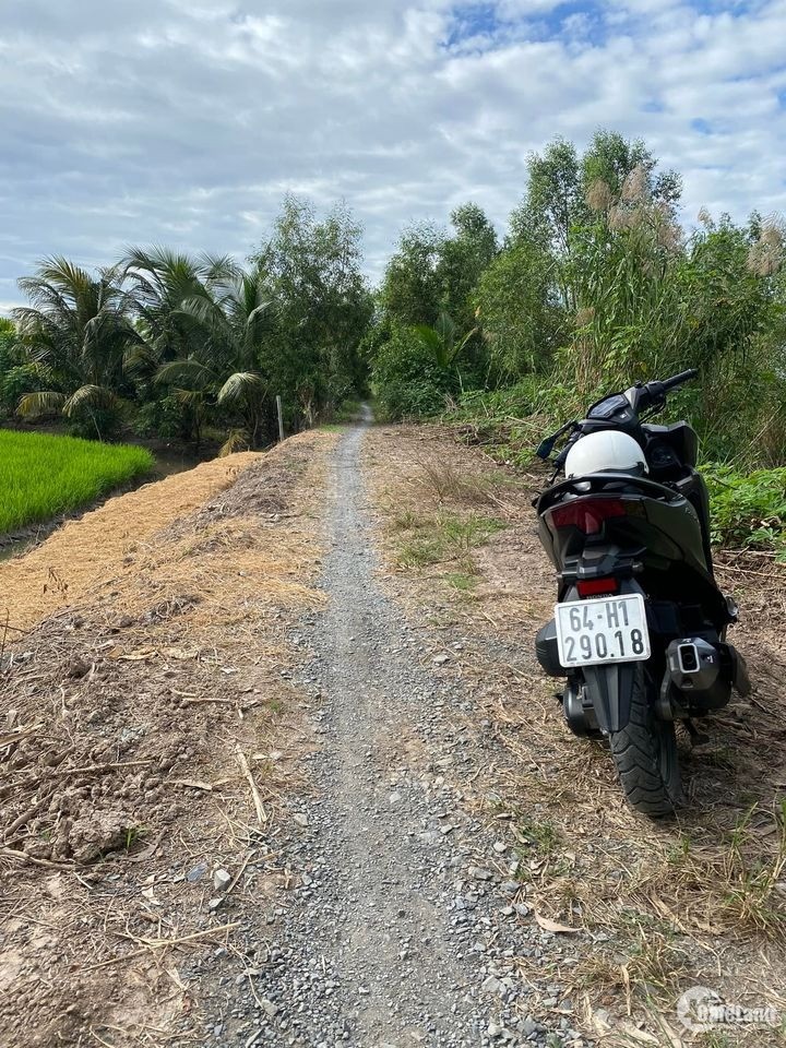 Bán 1,9 công đất Long Phước -Long Hồ, Vĩnh Long,