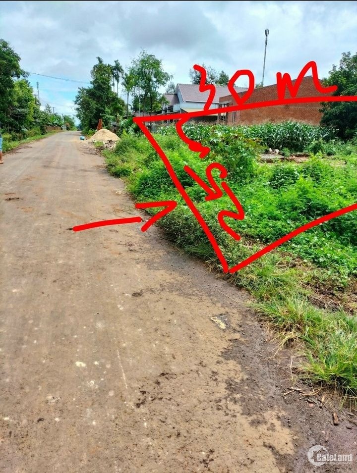 Lô đất mặt tiền đường nhựa buôn chiết huyện cưkuin