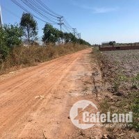 Chính chủ cần bán đất gần KCN Becamex Chơn Thành Bình Phước