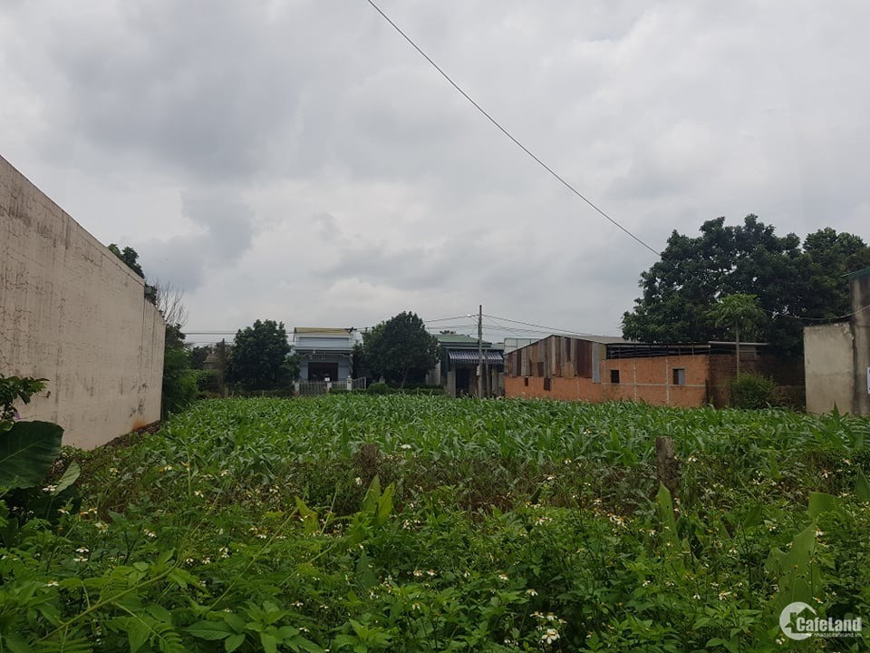 Cần bán 2 Lô đất lớn Tại Thị Trấn Phước An-Krong Pak-Dak Lak
