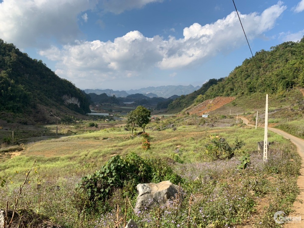 Bán mảnh đất view đồi chè, 2 mặt đường, TK Hoa Ban, Mộc Châu, 1230m2, MT 34m.