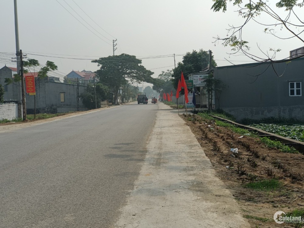 Đất mặt tiền đường trục xã Quảng Minh - Thành phố Sầm Sơn