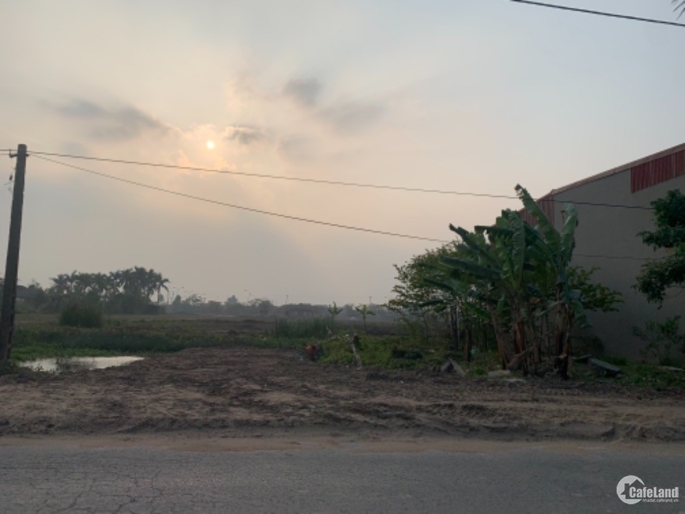 Bán đất 100m2 ngay gần Chùa Tháp Đền Trần Nam Định