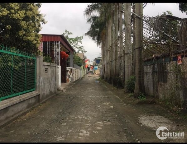 Bán đất ngõ đường Nguyễn Xuân Linh, Khối Vĩnh Thịnh Phường Đông Vĩnh.   93.5m2