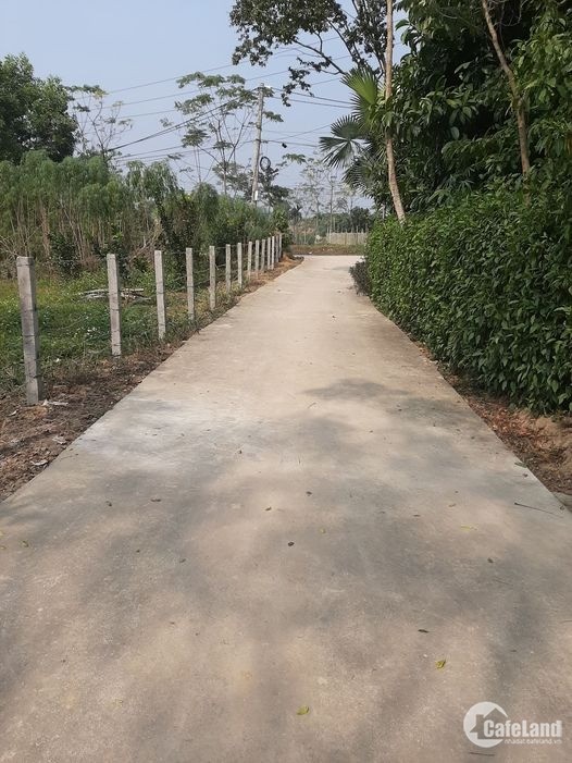 Bán lô đất tại xã Chân Sơn Yên Sơn Tuyên Quang